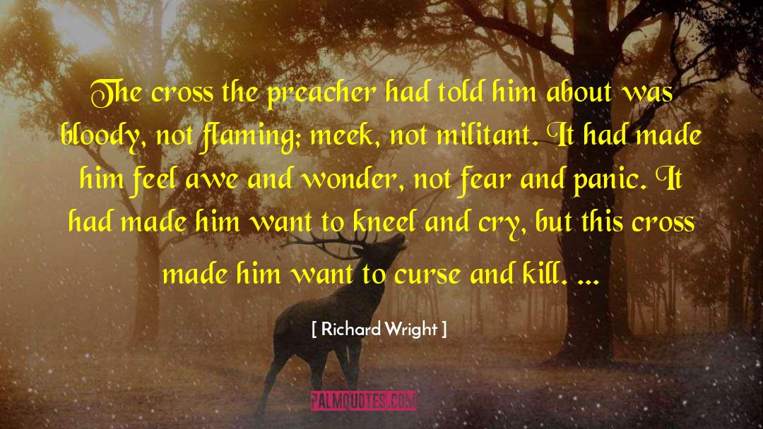 Expository Preacher quotes by Richard Wright