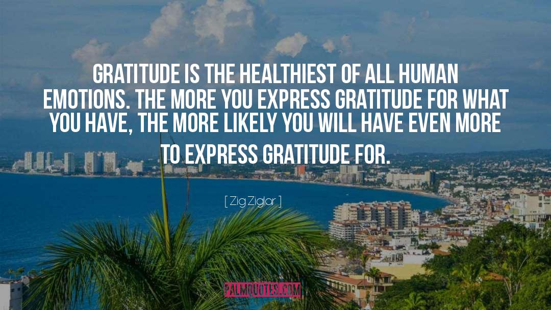 Express Gratitude quotes by Zig Ziglar