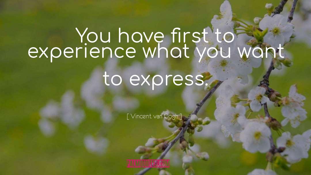 Express quotes by Vincent Van Gogh