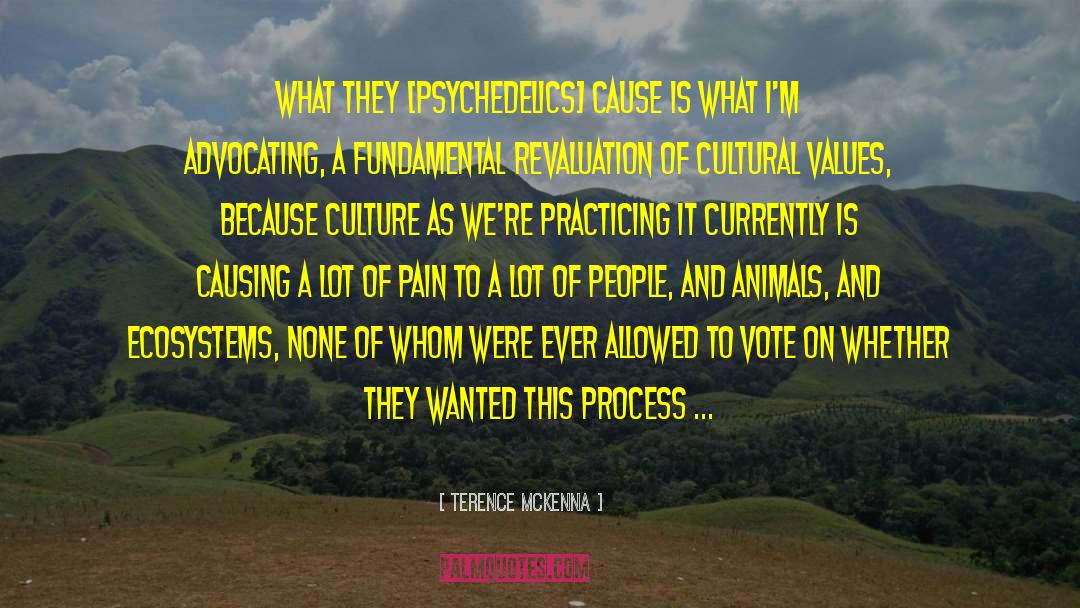 Expresser Culture quotes by Terence McKenna