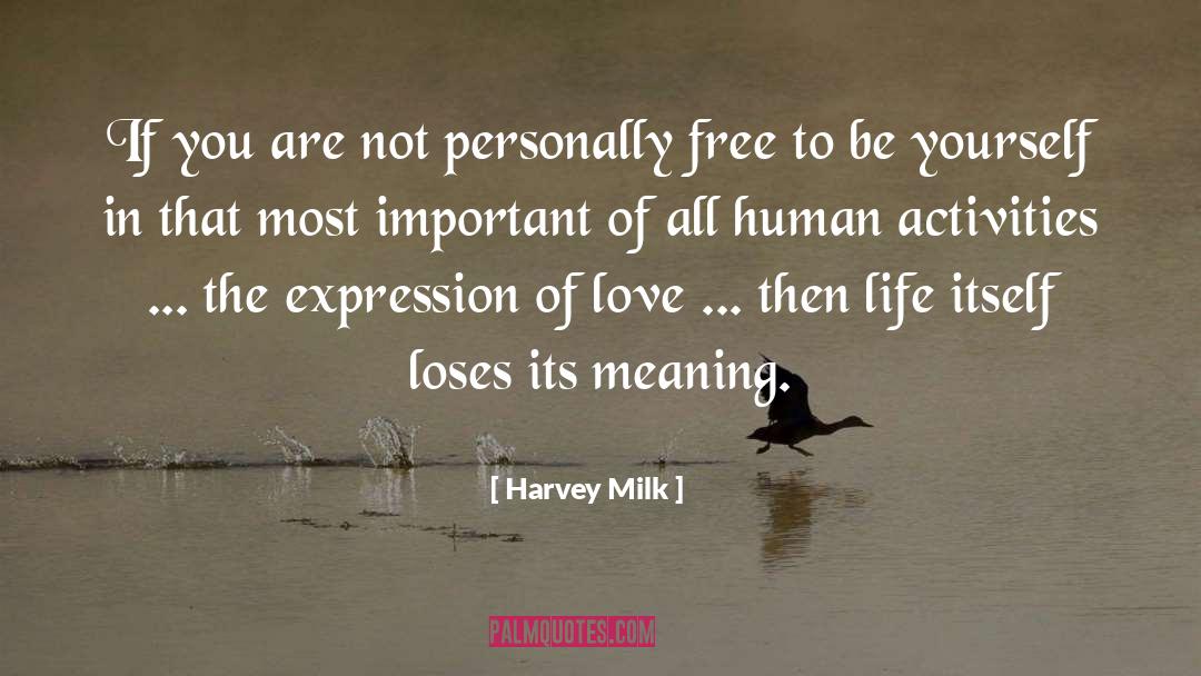 Expression Of Love quotes by Harvey Milk