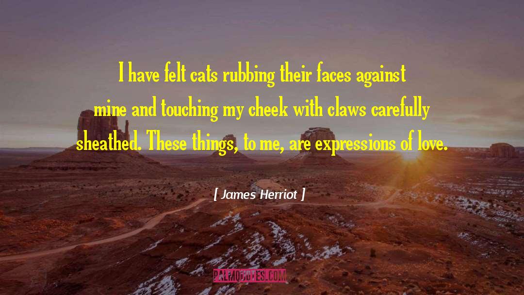 Expressions Of Love quotes by James Herriot
