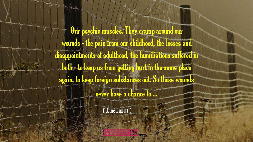 Extend The Limit quotes by Anne Lamott