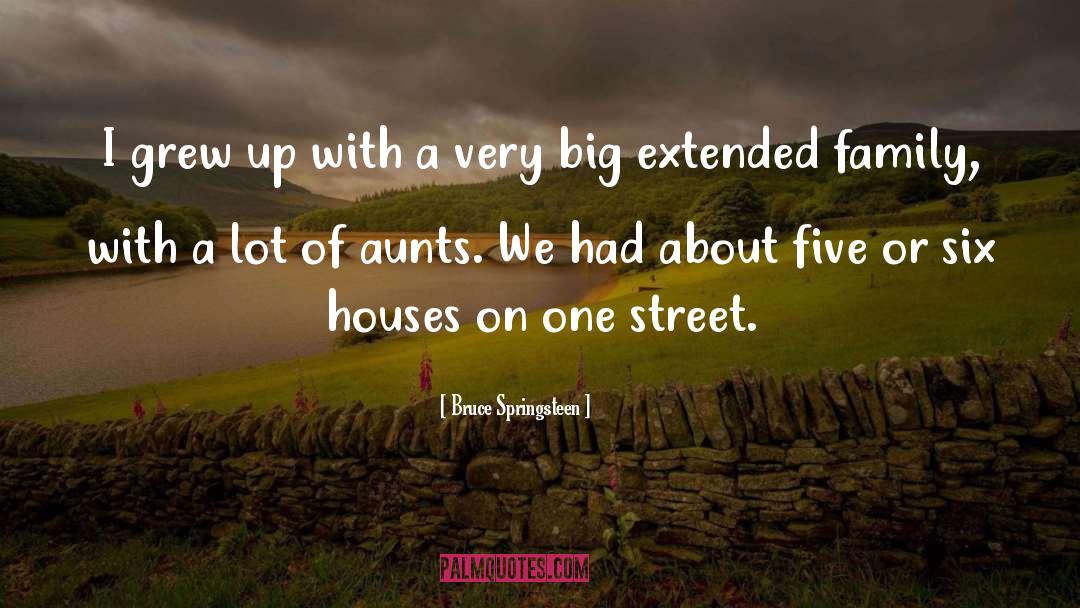 Extended Family quotes by Bruce Springsteen