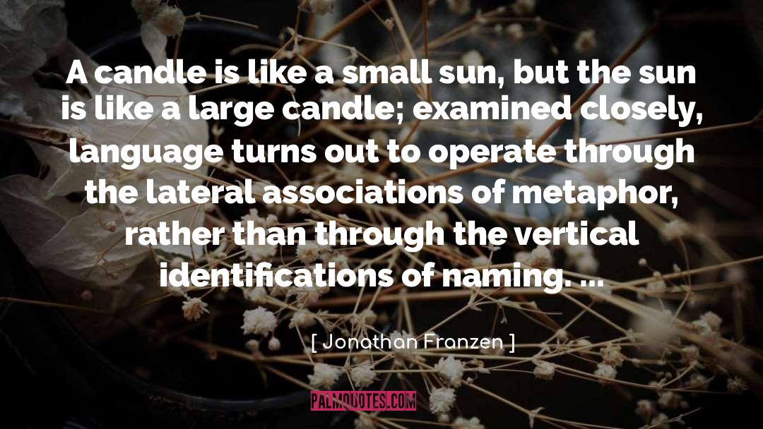 Extended Metaphor quotes by Jonathan Franzen