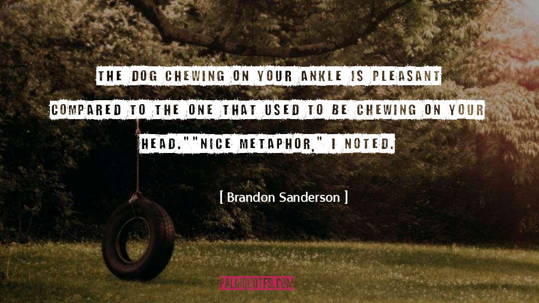 Extended Metaphor quotes by Brandon Sanderson