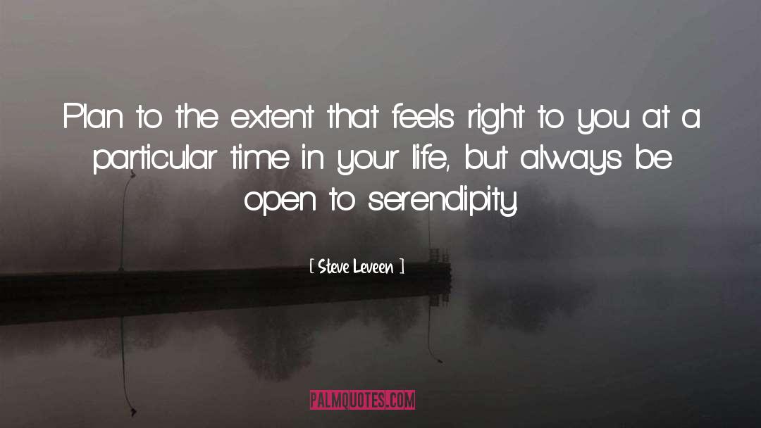 Extent quotes by Steve Leveen