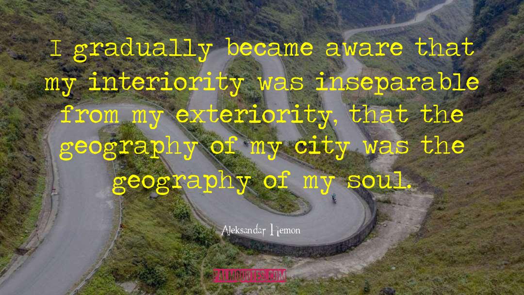 Exteriority quotes by Aleksandar Hemon