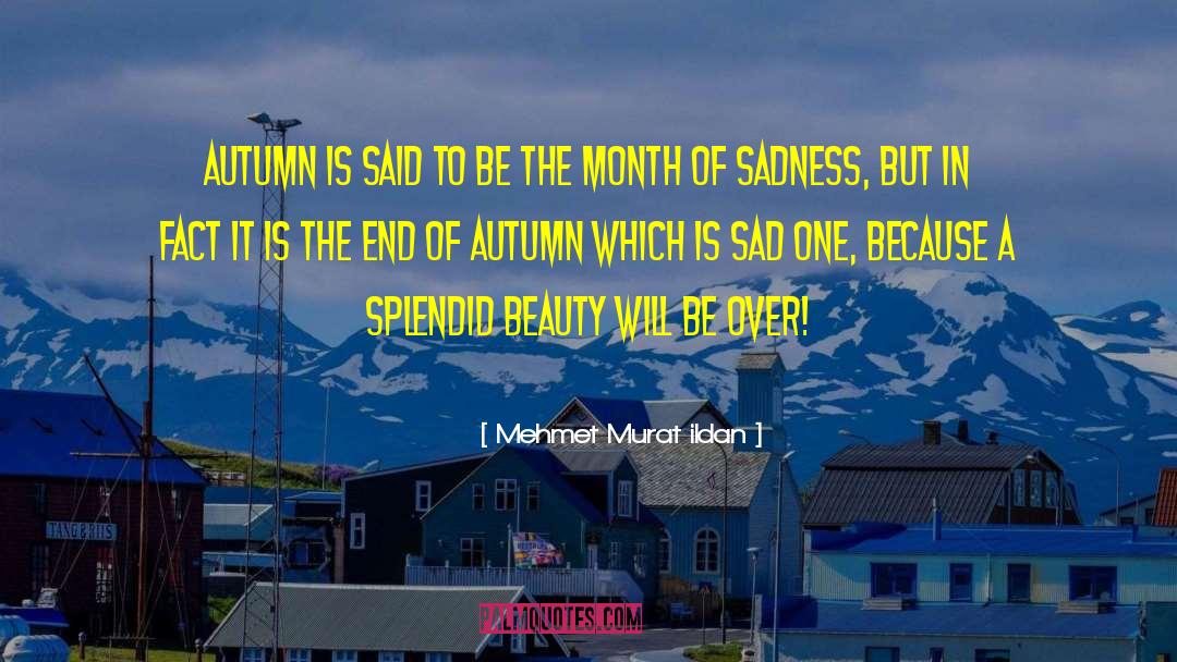 External Beauty quotes by Mehmet Murat Ildan