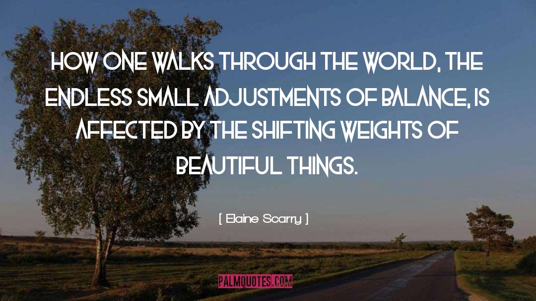 External Beauty quotes by Elaine Scarry