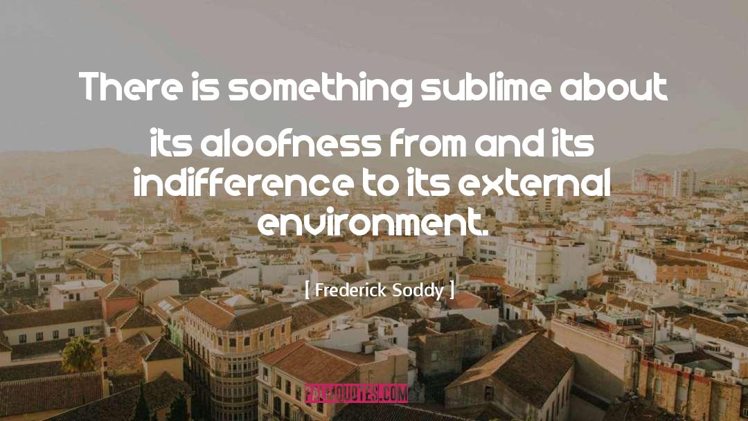 External Environment quotes by Frederick Soddy