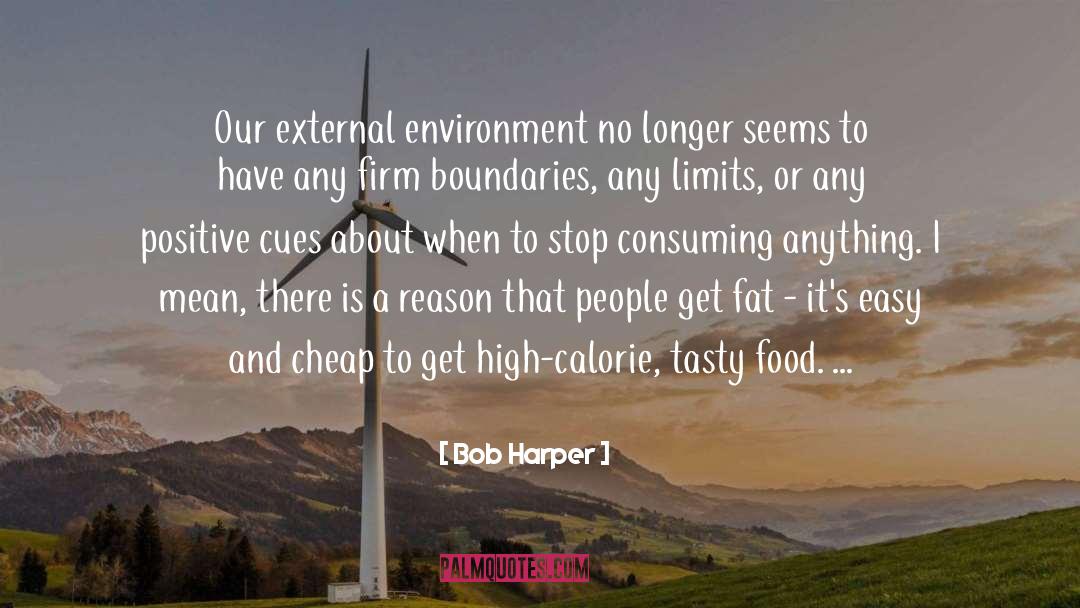 External Environment quotes by Bob Harper