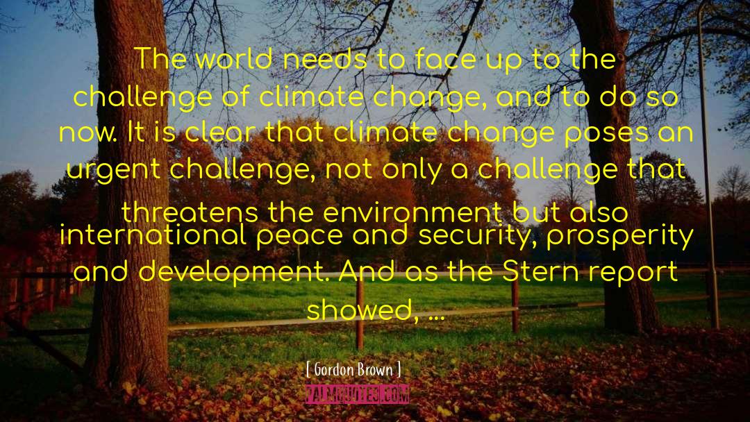 External Environment quotes by Gordon Brown