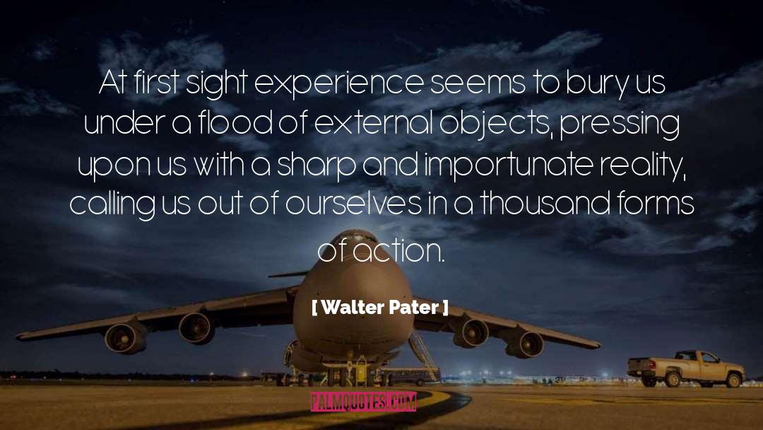 External Forces quotes by Walter Pater