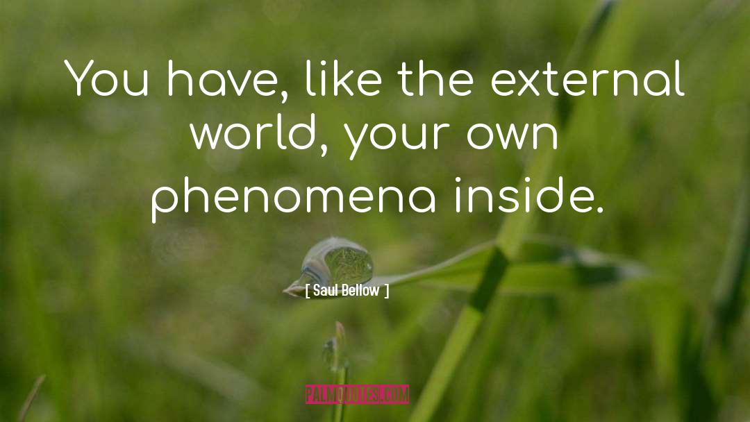 External World quotes by Saul Bellow