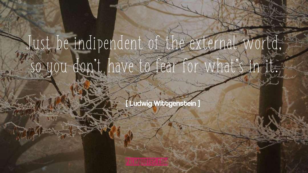 External World quotes by Ludwig Wittgenstein