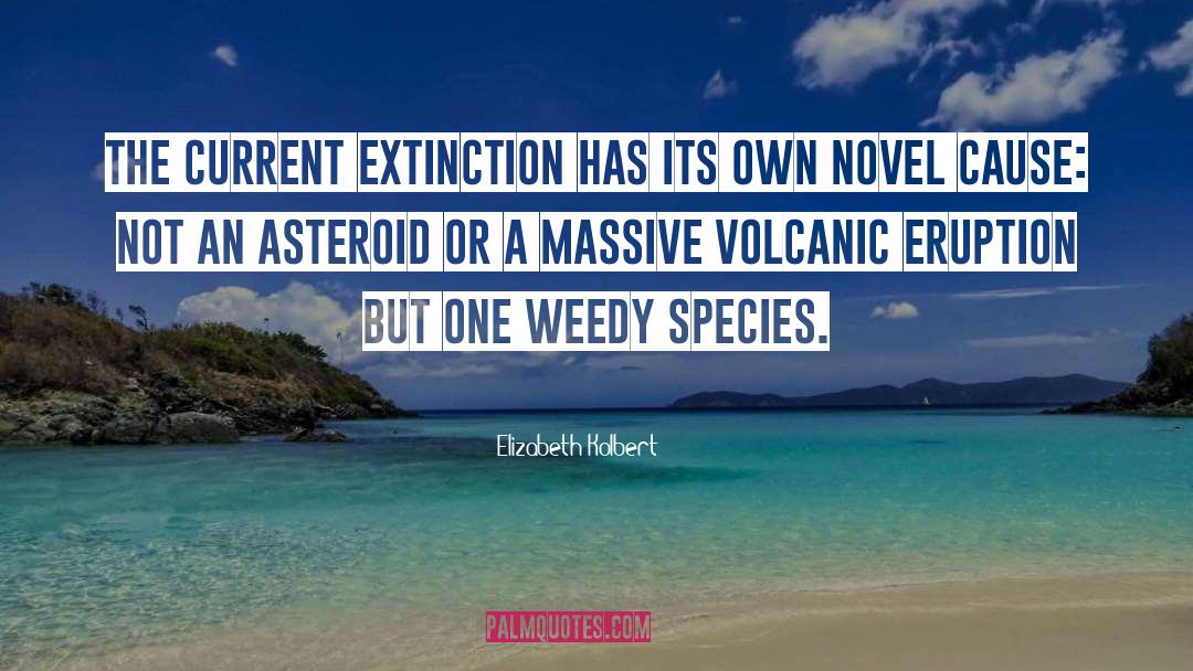 Extinction quotes by Elizabeth Kolbert