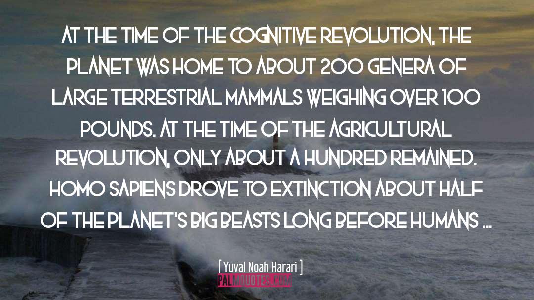 Extinction quotes by Yuval Noah Harari