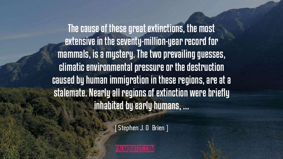 Extinctions quotes by Stephen J. O'Brien
