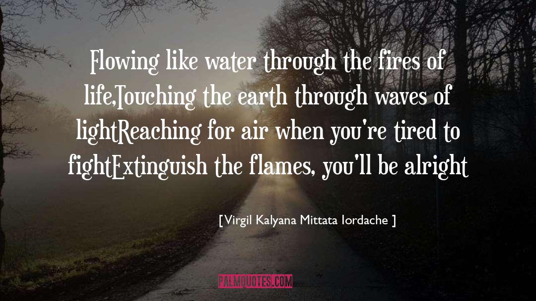 Extinguish quotes by Virgil Kalyana Mittata Iordache