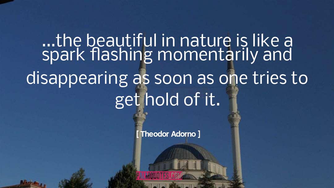 Extraordinary Beauty quotes by Theodor Adorno