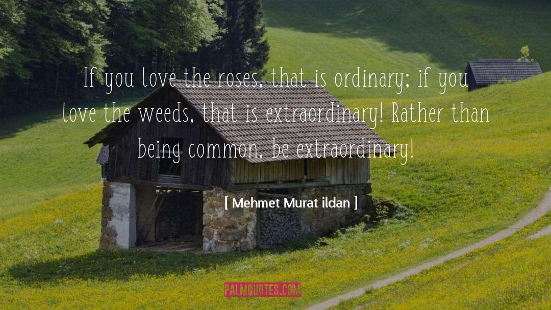 Extraordinary Love Short quotes by Mehmet Murat Ildan