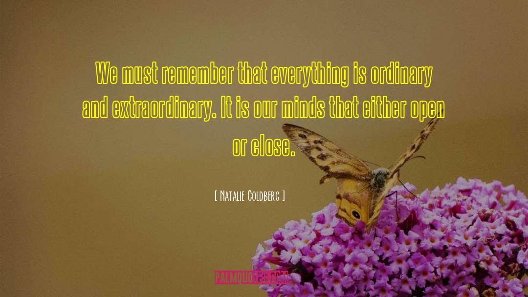 Extraordinary Moments quotes by Natalie Goldberg
