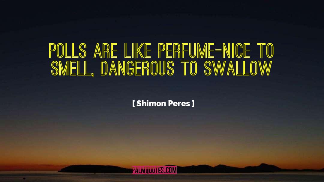 Extravagance Perfume quotes by Shimon Peres