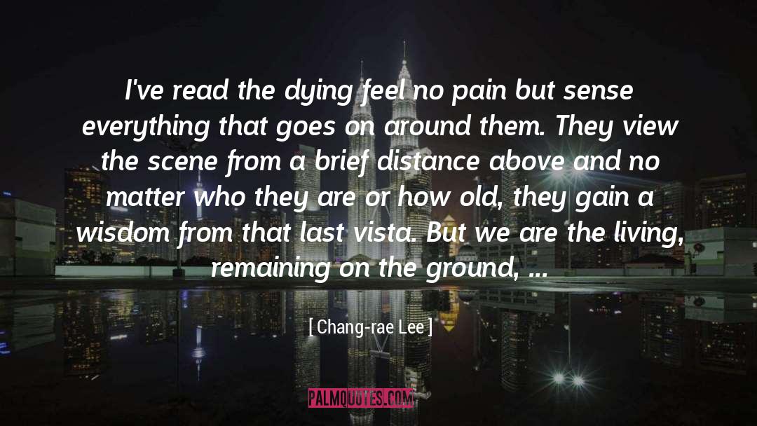 Extreme Pain quotes by Chang-rae Lee