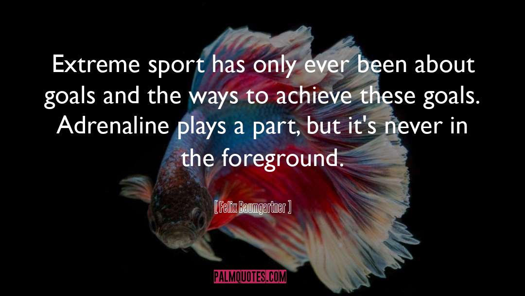 Extreme Sports quotes by Felix Baumgartner