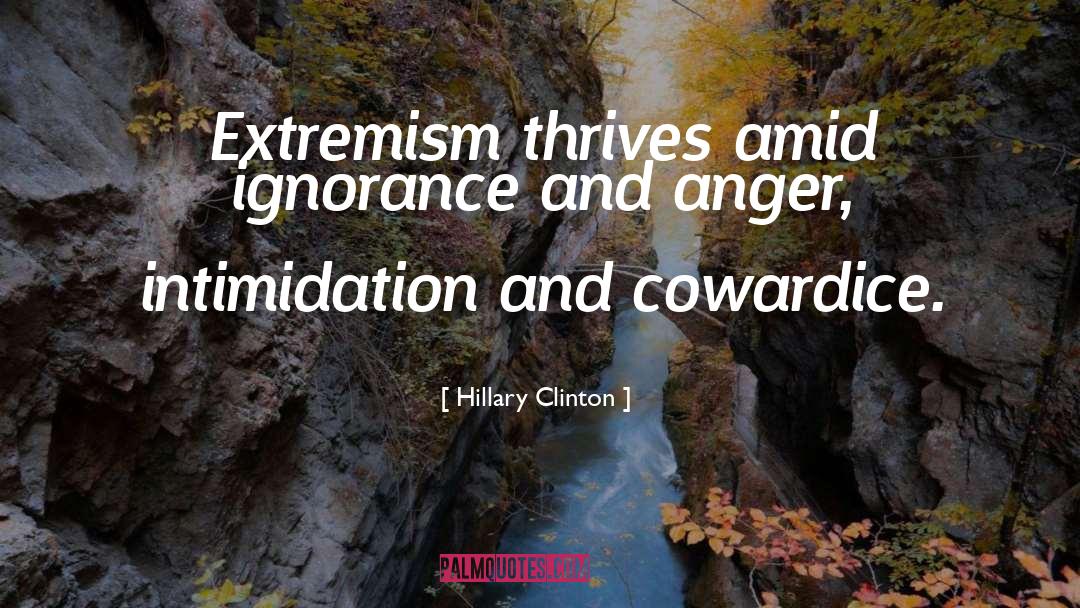 Extremism quotes by Hillary Clinton