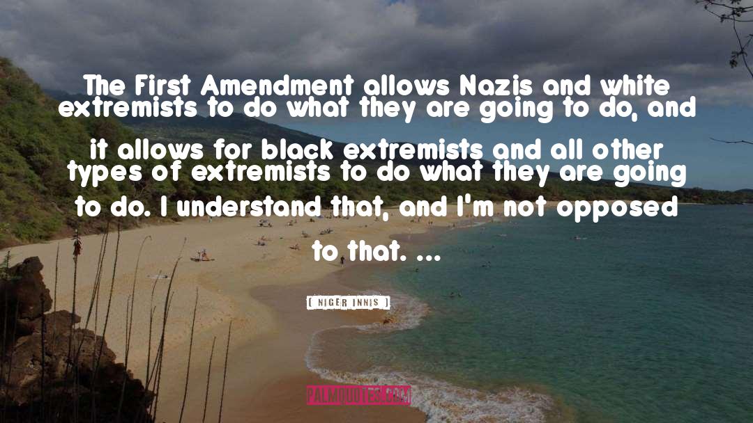 Extremists quotes by Niger Innis
