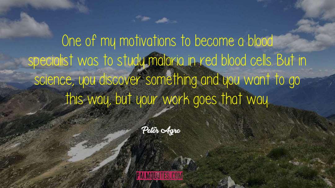 Extrinsic Motivations quotes by Peter Agre