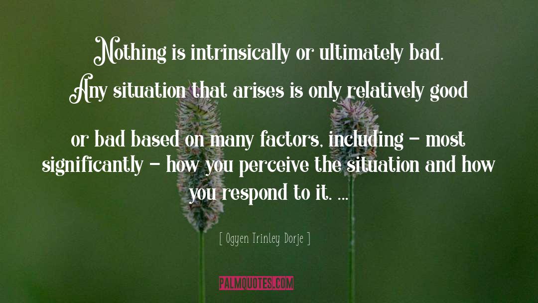 Extrinsically And Intrinsically quotes by Ogyen Trinley Dorje