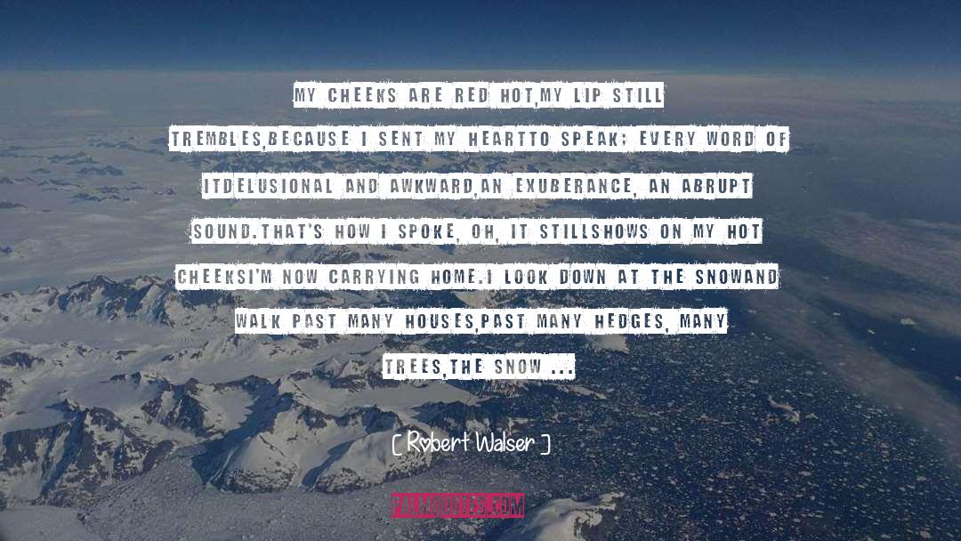 Exuberance quotes by Robert Walser