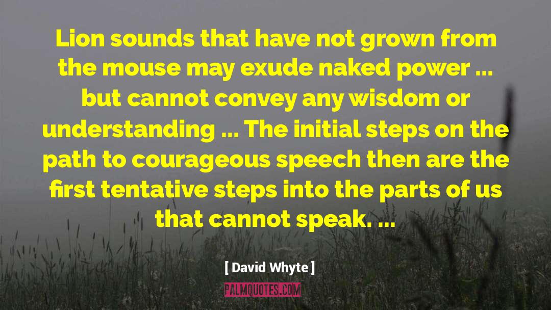 Exude quotes by David Whyte