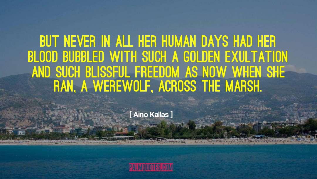 Exultation quotes by Aino Kallas