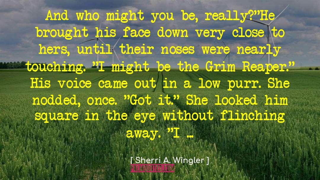 Eye Makeup quotes by Sherri A. Wingler