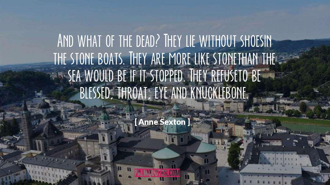 Eye Of Providence quotes by Anne Sexton