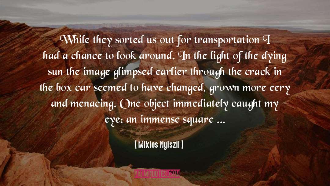 Eye Of The Hurricane quotes by Miklos Nyiszli