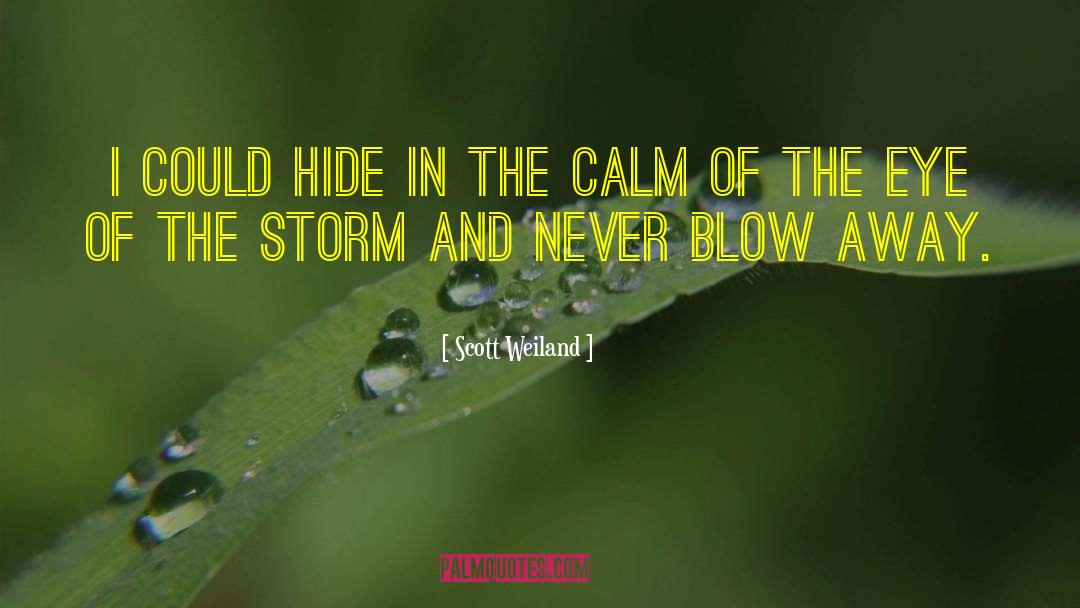 Eye Of The Storm quotes by Scott Weiland