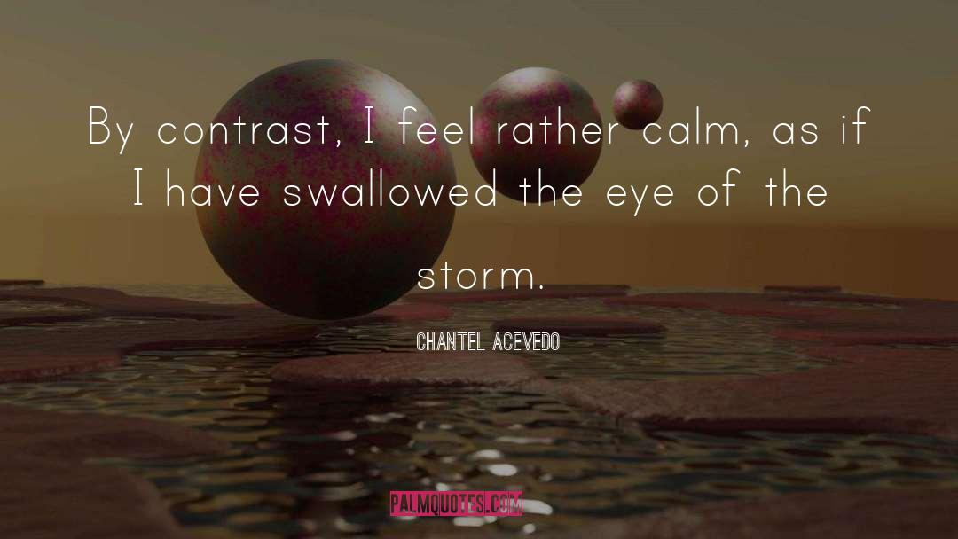 Eye Of The Storm quotes by Chantel Acevedo