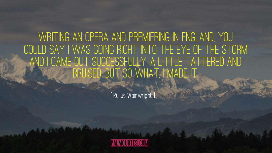 Eye Of The Storm quotes by Rufus Wainwright