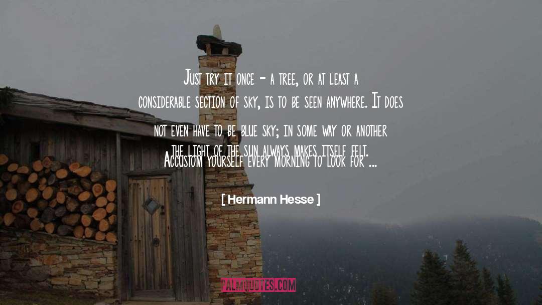 Eye Of The Tiger quotes by Hermann Hesse