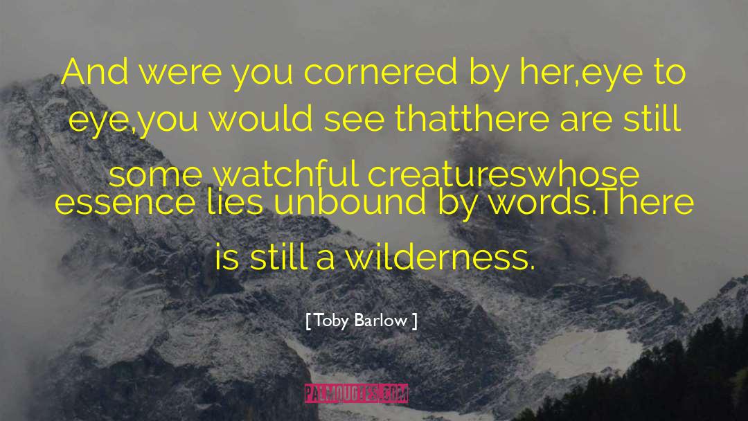 Eye To Eye quotes by Toby Barlow