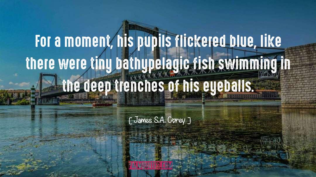 Eyeballs quotes by James S.A. Corey