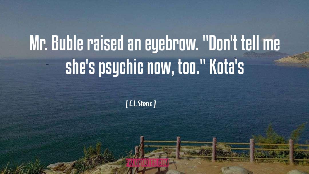 Eyebrow quotes by C.L.Stone