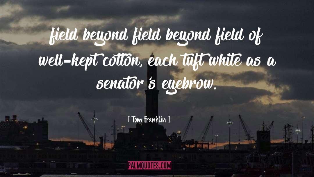 Eyebrow quotes by Tom Franklin