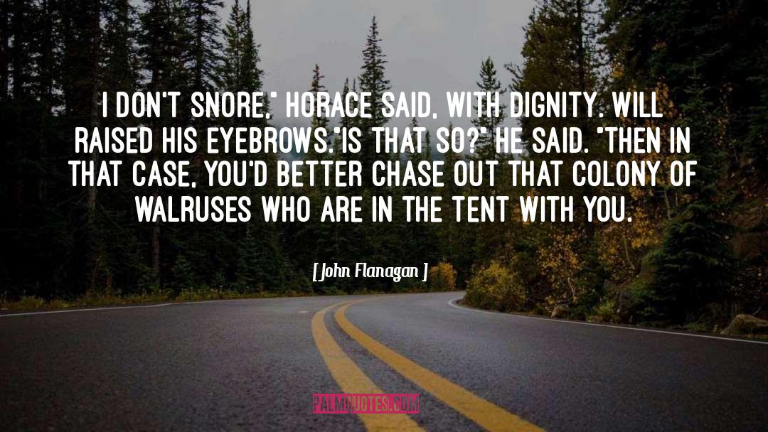 Eyebrows quotes by John Flanagan