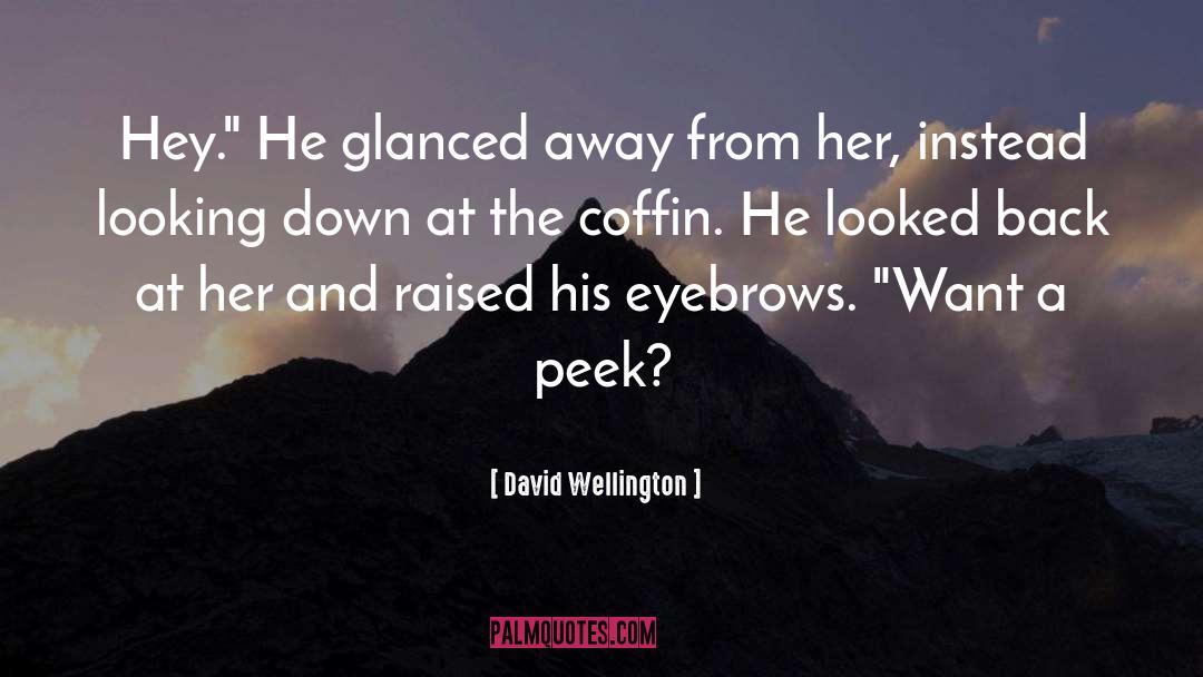 Eyebrows quotes by David Wellington